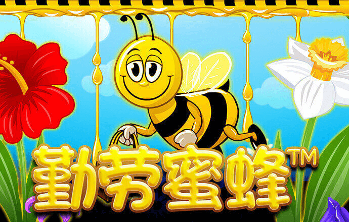 澳门今晚一肖必中特